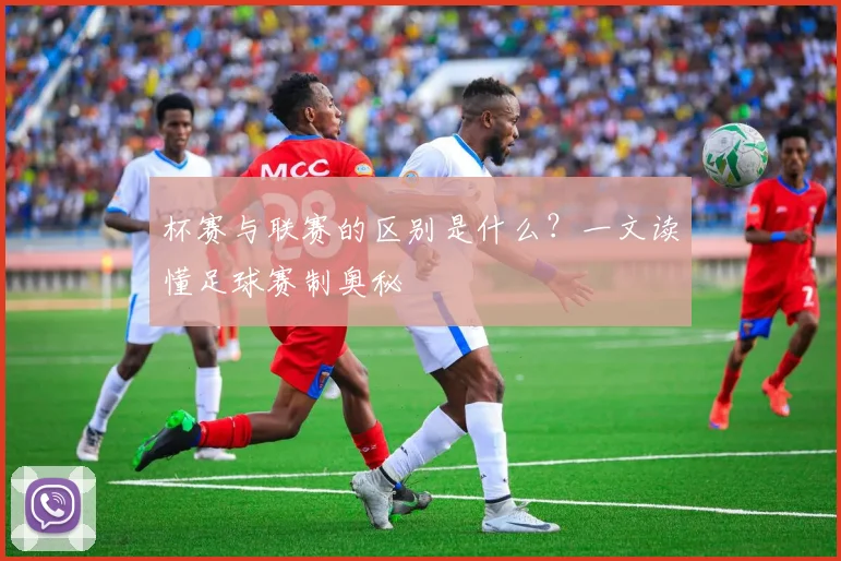 杯赛与联赛的区别是什么？一文读懂足球赛制奥秘
